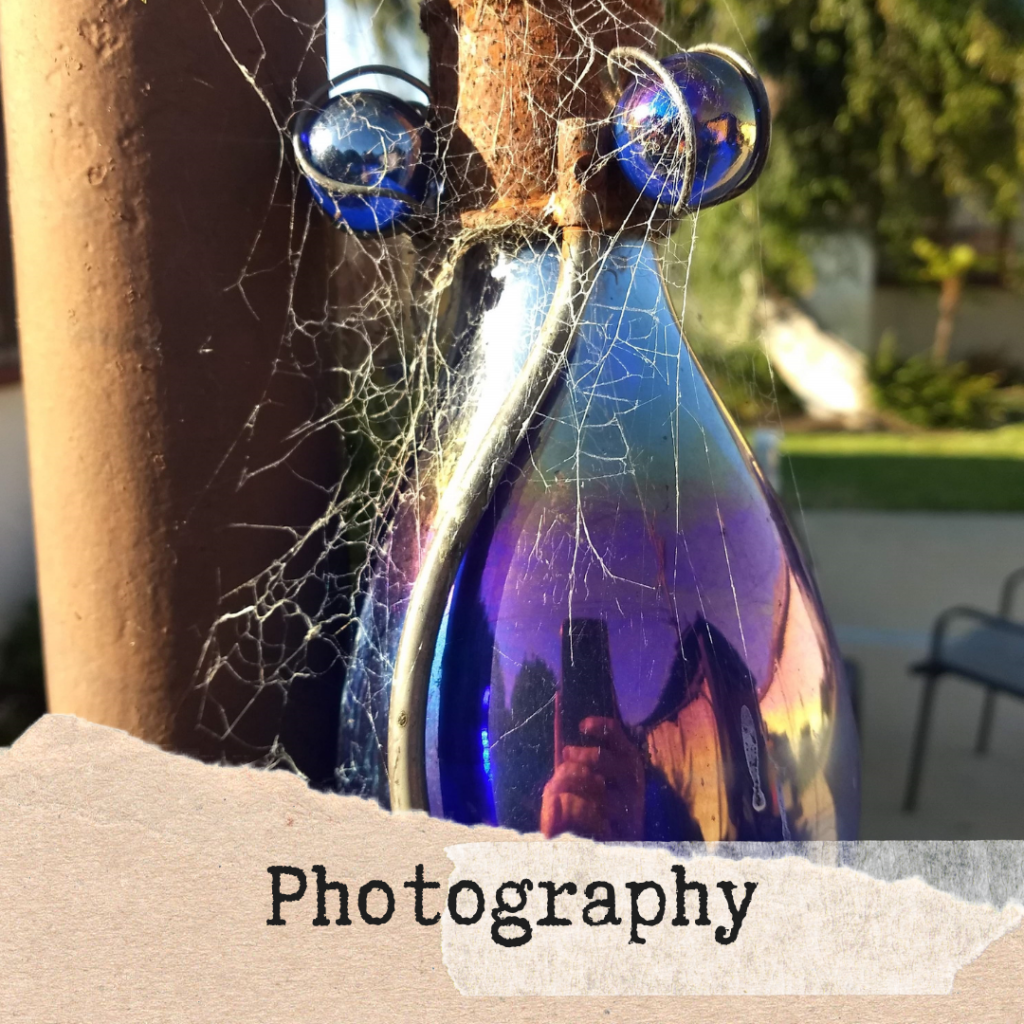 Photography: reflecting bottle with spiderwebs